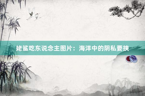 姥鲨吃东说念主图片：海洋中的阴私要挟