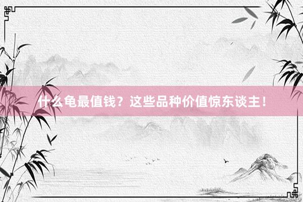 什么龟最值钱？这些品种价值惊东谈主！