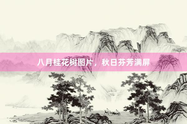 八月桂花树图片，秋日芬芳满屏